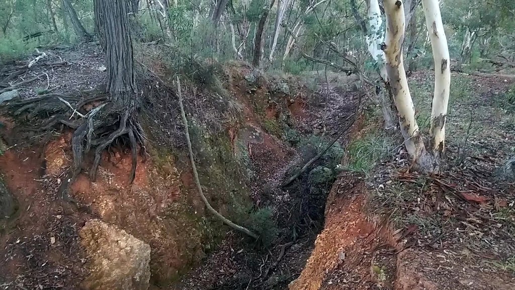 Mount Gray Walking Track | Bald Ridge Rd, Abercrombie River NSW 2795, Australia | Phone: 1300 072 757