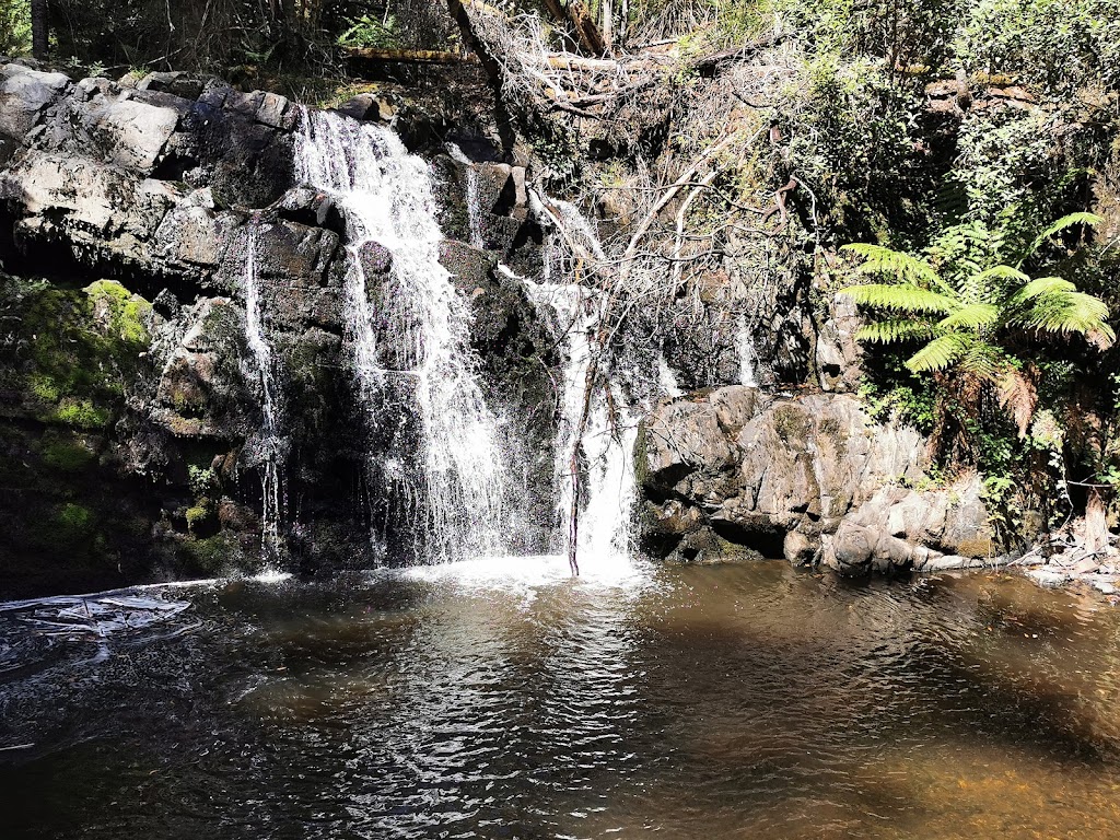 Lilydale Falls | tourist attraction | Lilydale Rd, Lilydale TAS 7268, Australia | 0363526520 OR +61 3 6352 6520