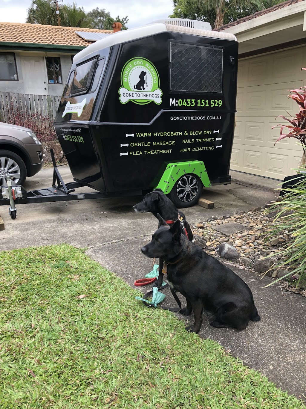 Gone To The Dogs - Mobile Dog Washing |  | Pitcairn Way, Pacific Pines QLD 4210, Australia | 0433151529 OR +61 433 151 529