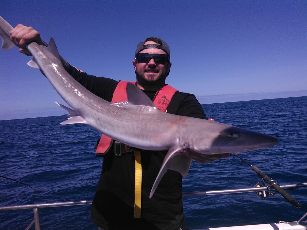 Rip Charters - Fishing Charters Sorrento, Port Phillip Bay | Esplanade, Sorrento VIC 3943, Australia | Phone: (03) 5985 6968