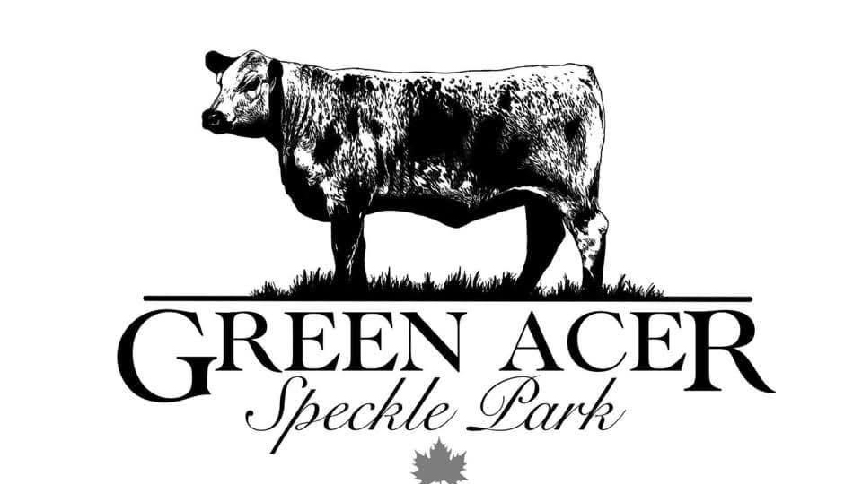 GreenAcer Speckle Park | 369 Cornwells Rd, Riverslea VIC 3860, Australia | Phone: 0499 999 906