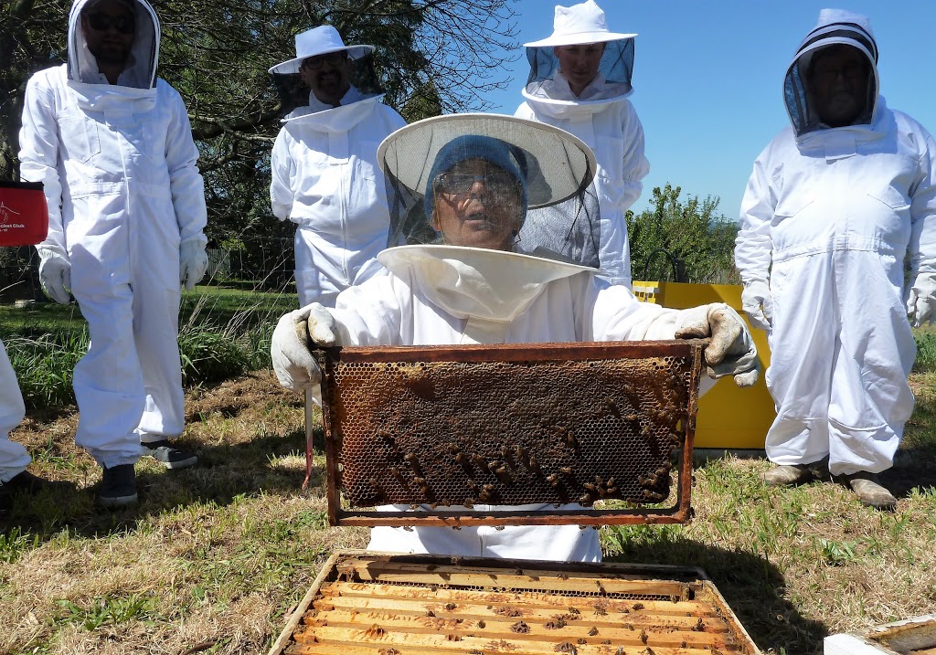Becs BeeHive Beekeeping Supplies | 45 Trumpington Grove, Kallista VIC 3791, Australia | Phone: 0409 850 735