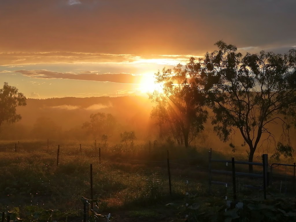 Wattle Tree Ridge | 34 Tuckeroo St, Rockmount QLD 4344, Australia | Phone: 0439 535 263