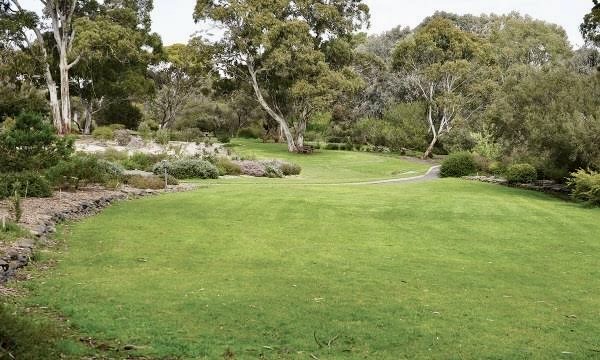 Curlys Mowing | 586 Manns St, Lavington NSW 2641, Australia | Phone: 0477 016 617
