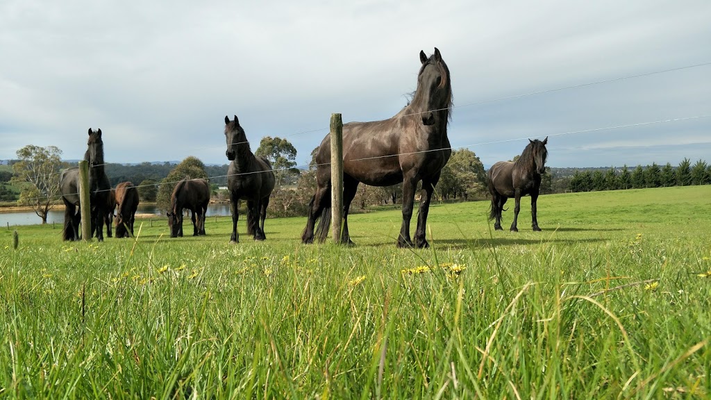 The Riding Success Institute |  | 15 Finlay Ln, Garfield VIC 3814, Australia | 0413284981 OR +61 413 284 981