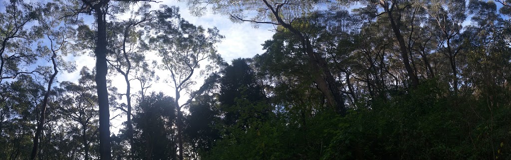 Field of Mars Reserve Pittwater Road Gladesville | 220 Pittwater Rd, East Ryde NSW 2111, Australia