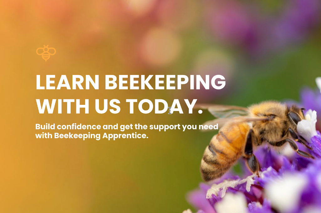 Beekeeping Apprentice | 13 Spectacular Ave, Doreen VIC 3754, Australia | Phone: 0412 742 006