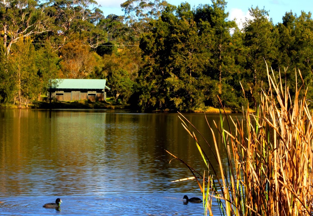 The Bird Hide | park | The Australian Botanic Garden, Narellan Rd, Mount Annan NSW 2567, Australia | 0246347905 OR +61 2 4634 7905