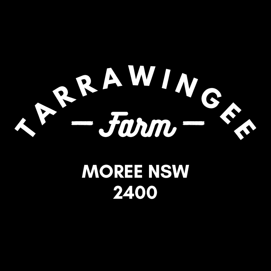 Tarrawingee Farm | 211 Tarrawingee Rd, Moree NSW 2400, Australia | Phone: 0436 011 970