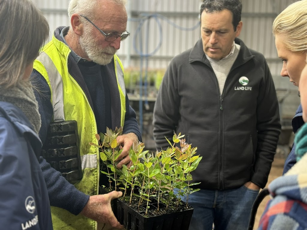 Land Life | Social Foundry Building, 86 Mollison St, Kyneton VIC 3444, Australia | Phone: 0428 298 582