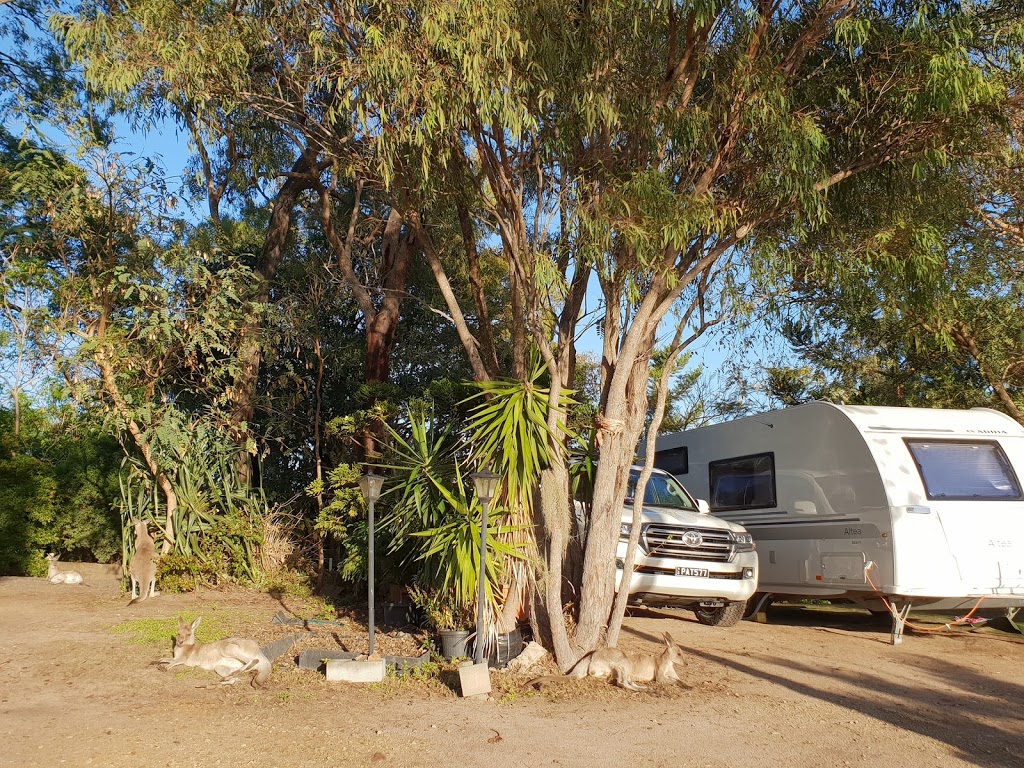 Horizons Kangaroo Sanctuary & Camp Ground | campground | 15 Fitzroy Cres, Agnes Water QLD 4677, Australia | 0749747783 OR +61 7 4974 7783