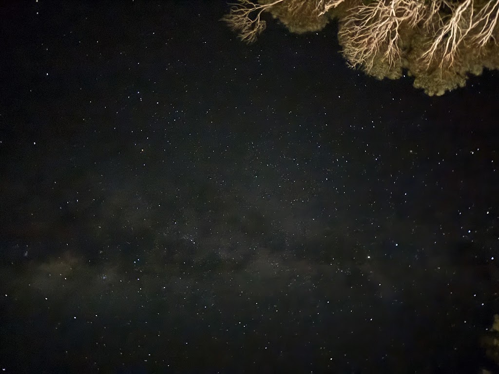 Lidsdale State Forest | Great Western Hwy, Wallerawang NSW 2845, Australia | Phone: 1300 655 687 Lidsdale State Forest | Great Western Hwy, Wallerawang NSW 2845, Australia | Phone: 1300 655 687