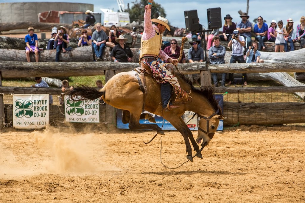 Horse Play Australia | 619 Wirring Rd, Cowaramup WA 6284, Australia | Phone: 0407 195 696