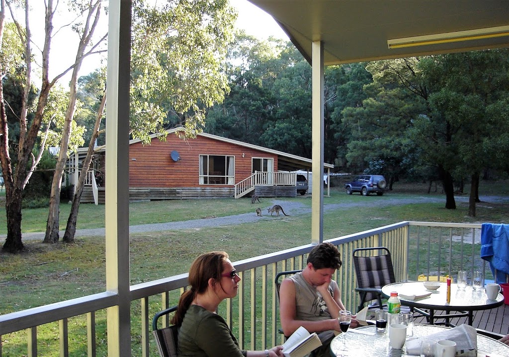 ParkView Holiday Houses | lodging | 24/28 Warren Rd, Halls Gap VIC 3381, Australia | 0353582403 OR +61 3 5358 2403