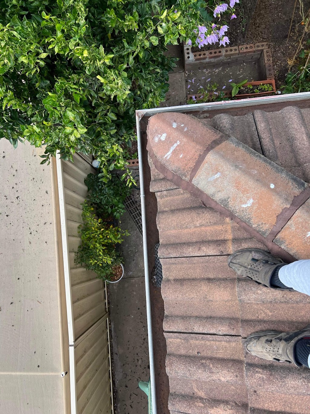 Bens Western Sydney Gutter Cleaning | 54 Milky Way, Campbelltown NSW 2560, Australia | Phone: 0434 431 370