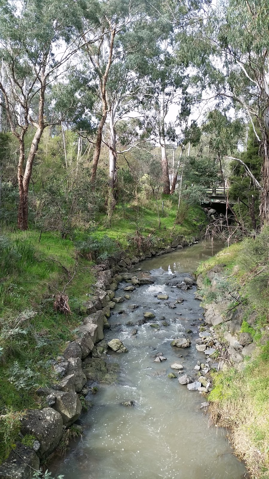 Currawong Bush Park | park | Reynolds Rd, Doncaster East VIC 3109, Australia