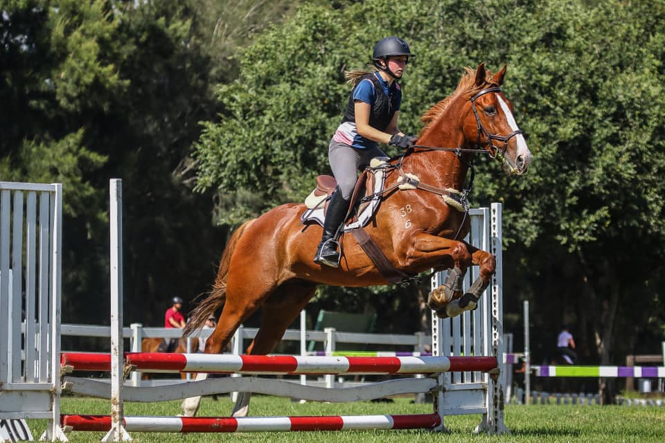 Whyld Equestrian Coaching | 6A Chiltern Rd, Ingleside NSW 2101, Australia | Phone: 0402 020 504