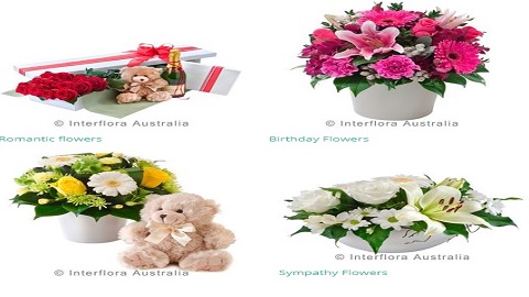 Kingsgrove Florist | 296 Kingsgrove Rd, Kingsgrove NSW 2208, Australia | Phone: (02) 9510 7757