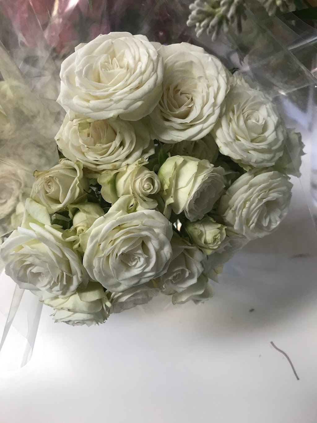Jamberoo Florist | florist | Shop 8/18 Allowrie St, Jamberoo NSW 2533, Australia | 0422687854 OR +61 422 687 854