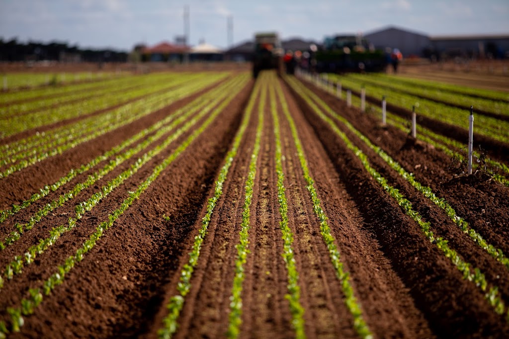 VEG Education | 372 Duncans Rd, Derrimut VIC 3030, Australia | Phone: 1300 835 474