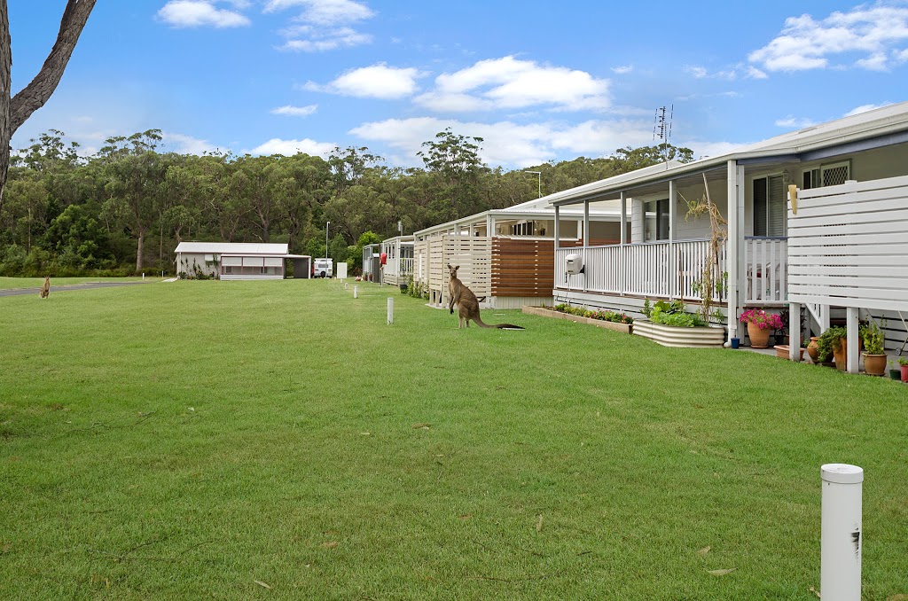 Ingenia Holidays South West Rocks | campground | Gordon Young Dr, South West Rocks NSW 2431, Australia | 0265666264 OR +61 2 6566 6264