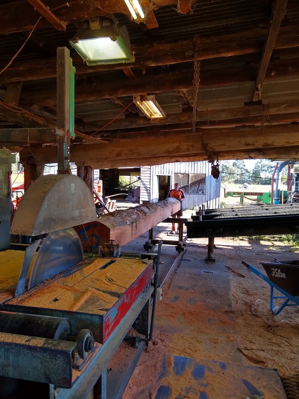 Wyong North Sawmill | 380 Pacific Hwy, Wyong NSW 2259, Australia | Phone: (02) 4352 1621