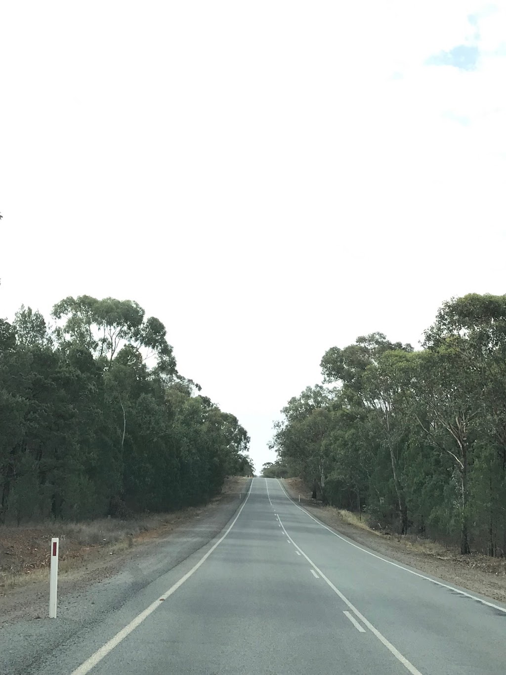 Kindra State Forest | park | Lewis St N, Coolamon NSW 2701, Australia