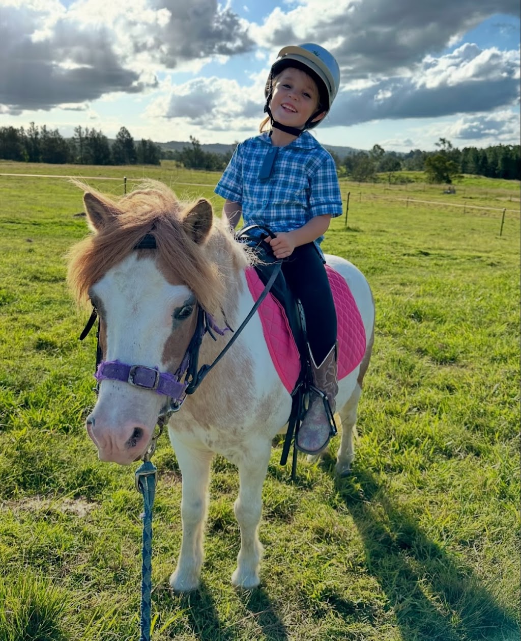 Tarcoola Performance Horses | 324 Pines Rd, Edenville NSW 2474, Australia | Phone: 0427 545 888