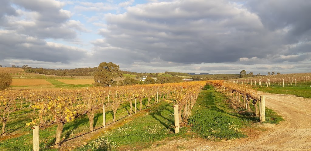 Barossa Wine Tours | 280 Angaston Rd, Angaston SA 5353, Australia | Phone: 0439 873 503