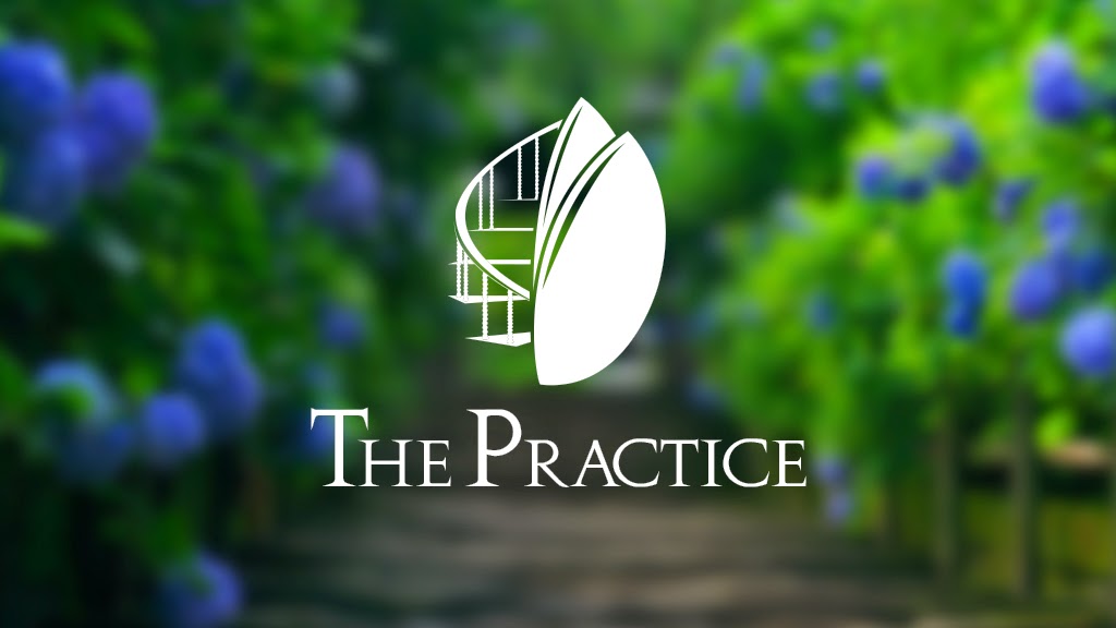 The Practice | 109/460 Pacific Hwy, St Leonards NSW 2065, Australia | Phone: (02) 8068 2309