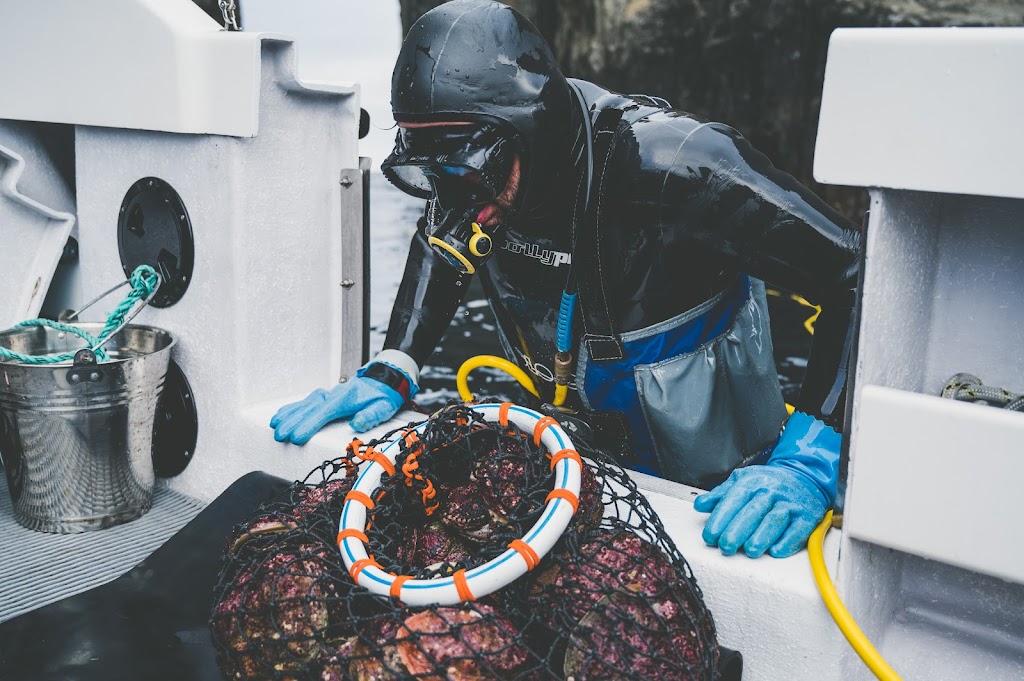 Candy Abalone | 21 Pothana Rd, Electrona TAS 7054, Australia | Phone: 0419 562 716