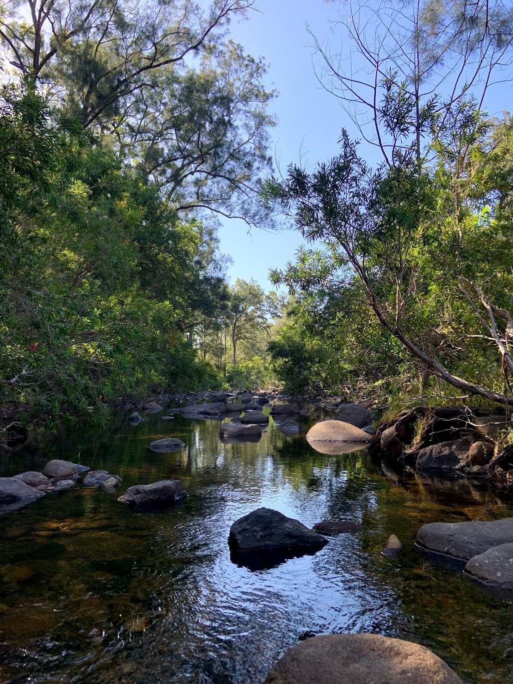 Alligator Creek Campground - Queensland national park | campground | Unnamed Road, Mount Elliot QLD 4816, Australia