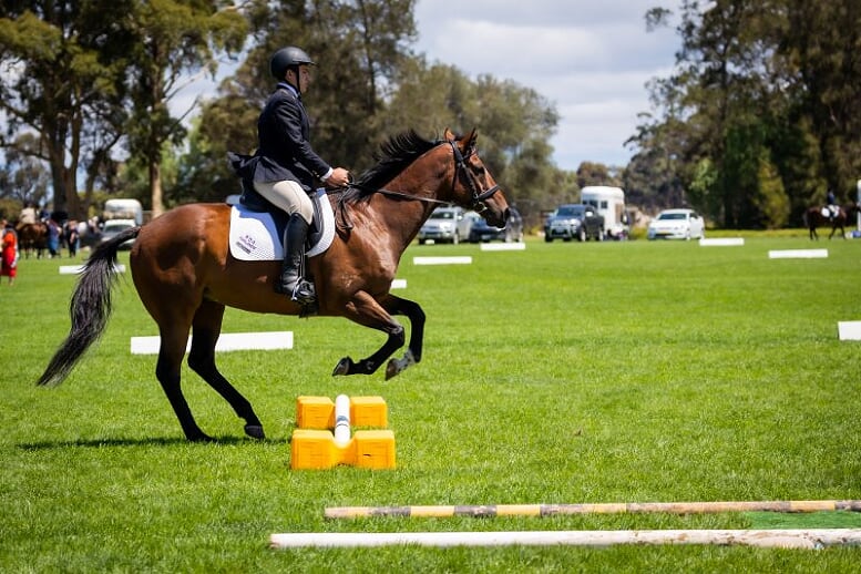 LBR Equestrian |  | 1000 Somerton Rd, Oaklands Junction VIC 3063, Australia | 0455457605 OR +61 455 457 605