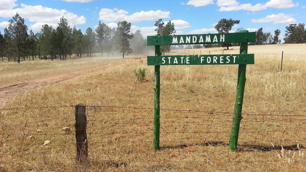 Mandamah State Forest | park | Mandamah Forest Rd, Ariah Park NSW 2665, Australia