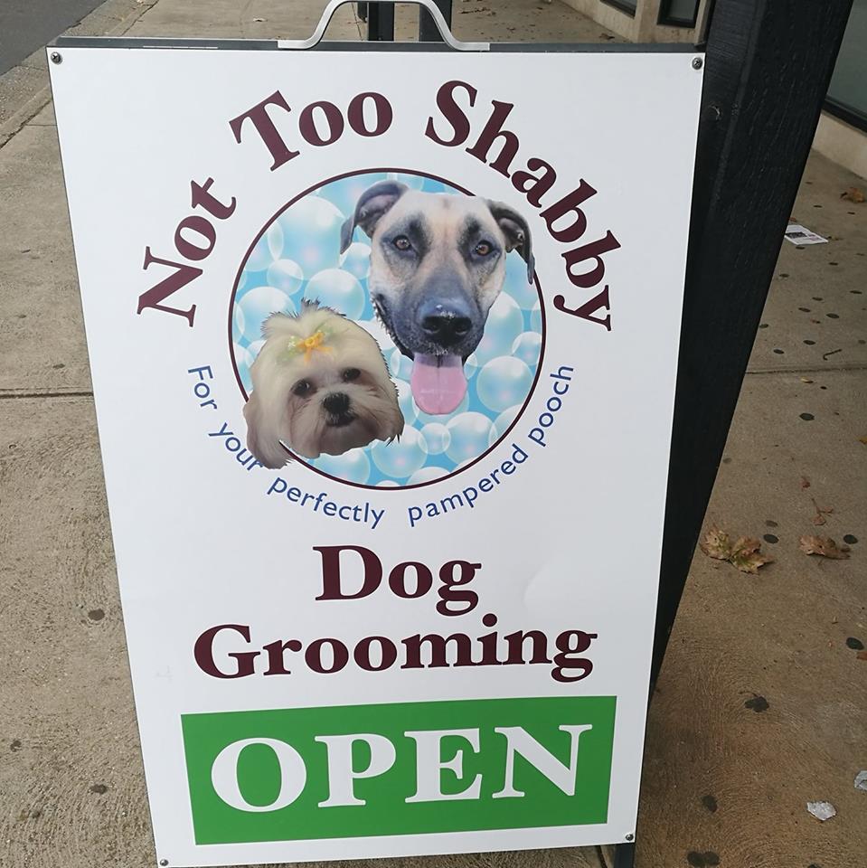 Not Too Shabby Dog Grooming | 45 Bull Mallee Rd, Long Forest VIC 3340, Australia | Phone: 0413 548 422