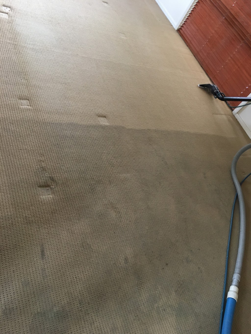 Wokkas Carpet Cleaning - Shepparton Carpet Cleaning | laundry | 21 Graeme St, Mooroopna VIC 3629, Australia | 0412408422 OR +61 412 408 422