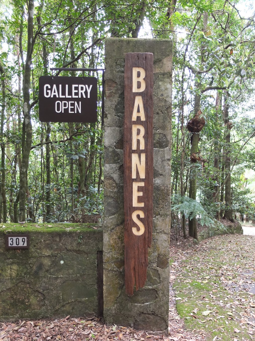 Barnes Studio Gallery | 309 Lyrebird Ridge Rd, Springbrook QLD 4213, Australia | Phone: 0411 355 797