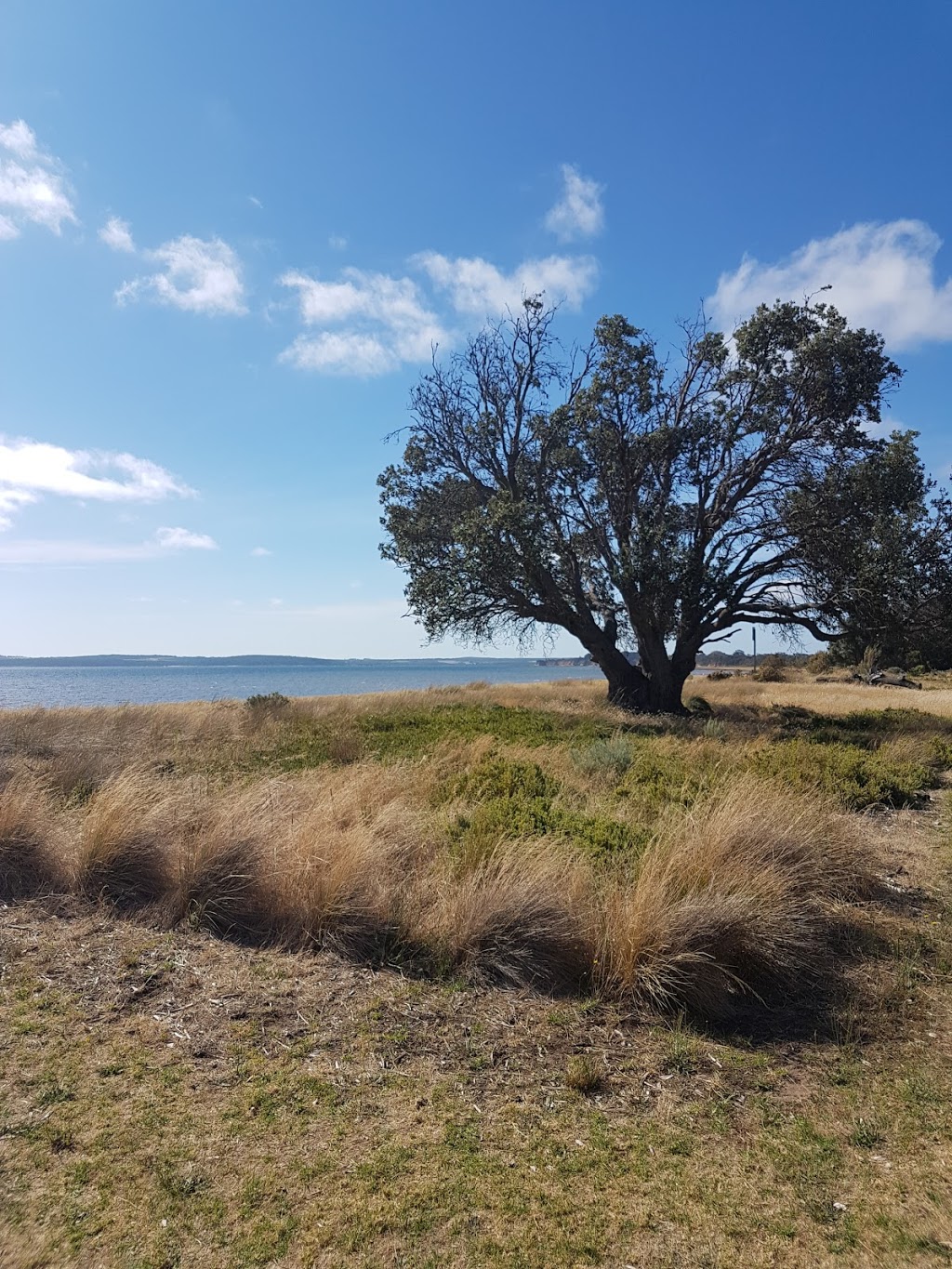 Coronet Bay Recreation Reserve | 39A Gellibrand St, Coronet Bay VIC 3984, Australia