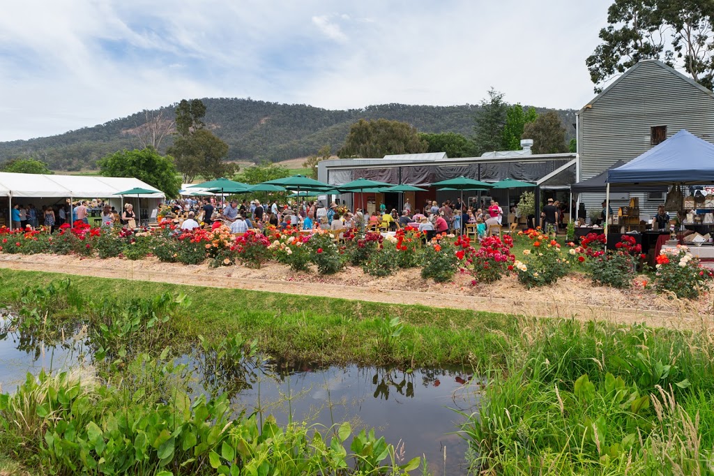 Pizzini Wines | tourist attraction | 175 King Valley Rd, Whitfield VIC 3733, Australia | 0357298278 OR +61 3 5729 8278