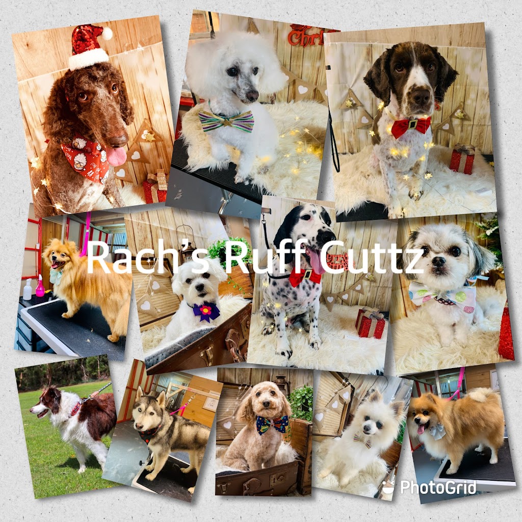 Rach’s Ruff Cuttz | 123A Mella Rd, Smithton TAS 7330, Australia | Phone: 0418 290 868