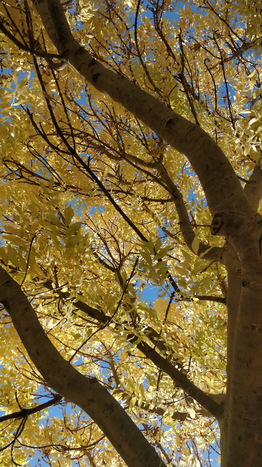 Federation Memorial | park | Barnes St, Stawell VIC 3380, Australia