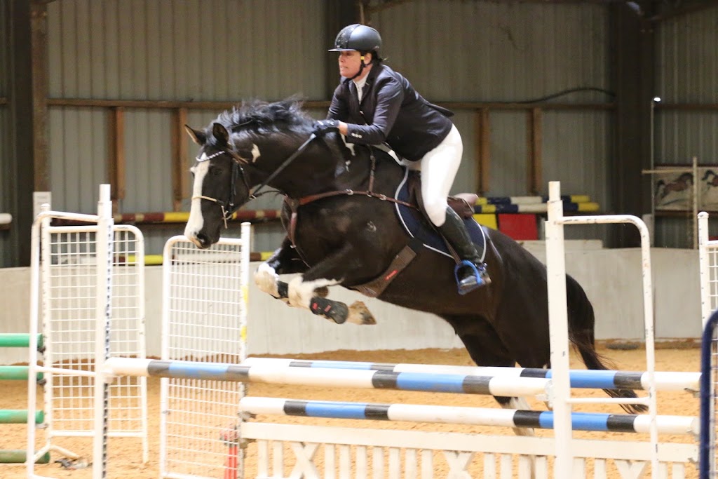GrandView Sport Horses | 65 Landale Rd, Tooradin VIC 3980, Australia | Phone: 0420 903 789