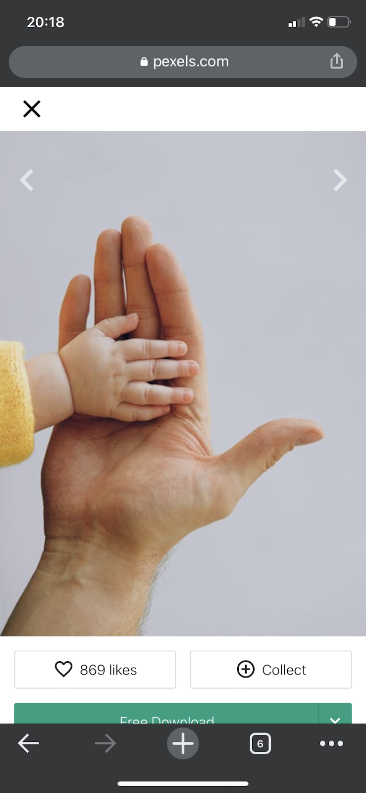 Zen Bub | 9 MacKay St, Byron Bay NSW 2481, Australia | Phone: 0405 481 138