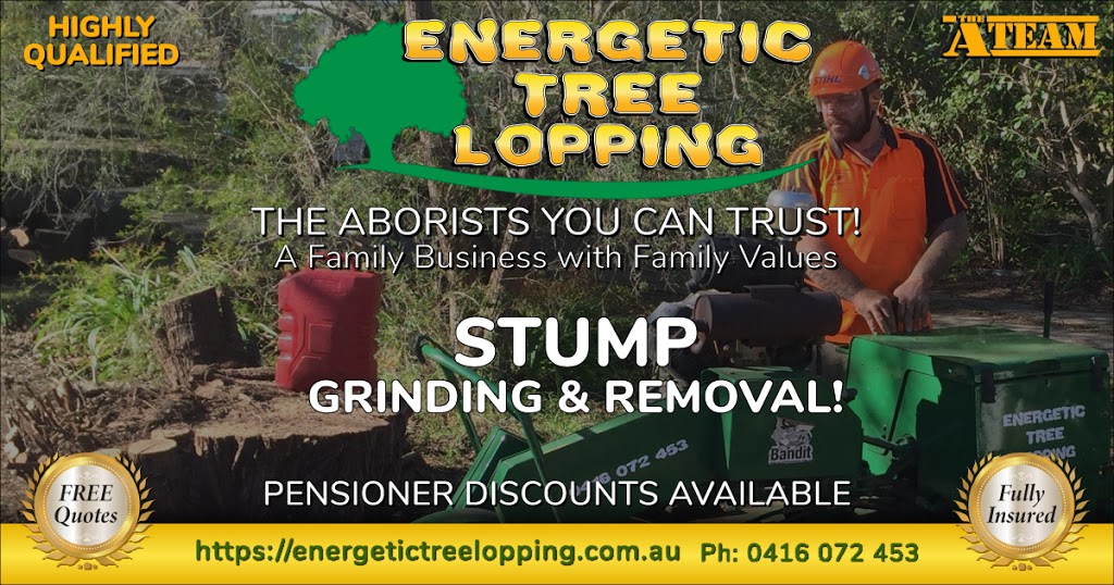 Energetic Tree Lopping | 85 Minerva Rd, Wedderburn NSW 2560, Australia | Phone: 0416 072 453