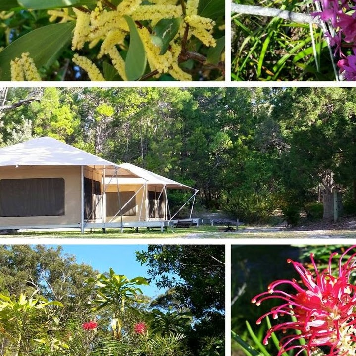 Minnie Water Holiday Park | campground | 646 Minnie Water Rd, Minnie Water NSW 2462, Australia | 0266497693 OR +61 2 6649 7693