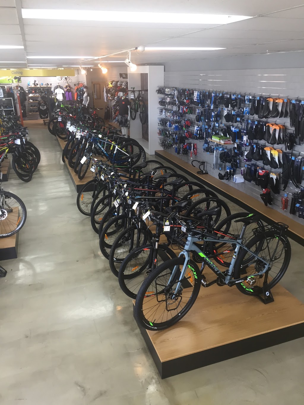 Bicycle Superstore | bicycle store | 30-32 Nepean Hwy, Mentone VIC 3194, Australia | 0395837700 OR +61 3 9583 7700