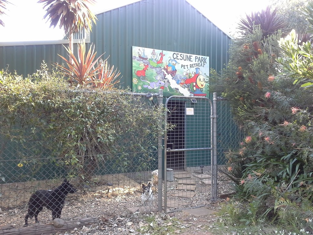 Cesune Park Pet Retreat | 99 Harris Rd, Brogo NSW 2550, Australia | Phone: 0428 842 923