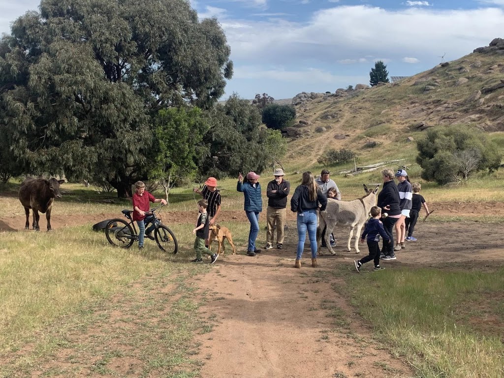 Pleasant Sense Farm | 736 Angas Valley Rd, Mount Pleasant SA 5235, Australia | Phone: 0448 557 329