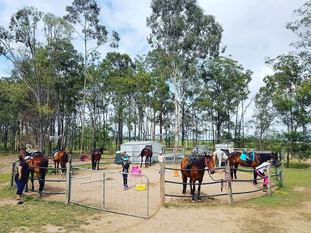Hucknall Horses | 7 Hucknall Rd, Yengarie QLD 4650, Australia | Phone: 0413 507 738