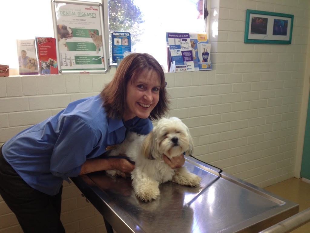 Moffat Beach Veterinary Surgery | veterinary care | 10 Campbell St, Moffat Beach QLD 4551, Australia | 0754911056 OR +61 7 5491 1056